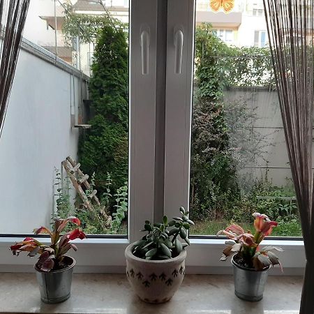 Apartament Di Trevi - Klimatyzacja Apartment Wroclaw Ngoại thất bức ảnh